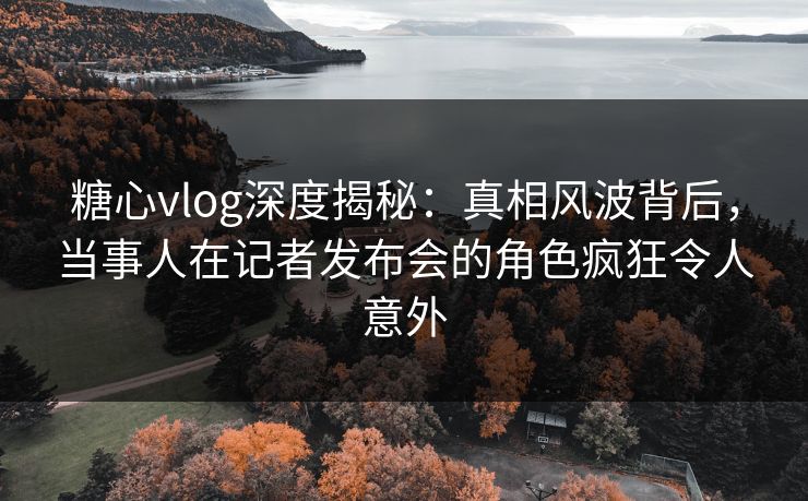 糖心vlog深度揭秘：真相风波背后，当事人在记者发布会的角色疯狂令人意外