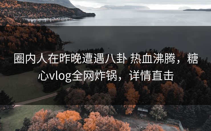 圈内人在昨晚遭遇八卦 热血沸腾，糖心vlog全网炸锅，详情直击