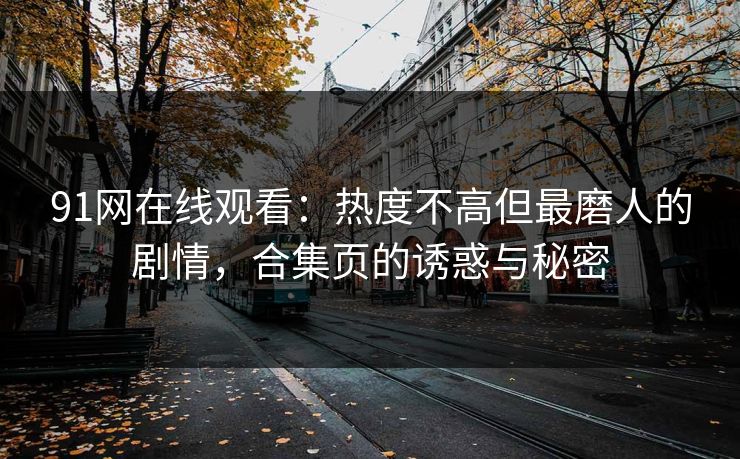 91网在线观看：热度不高但最磨人的剧情，合集页的诱惑与秘密